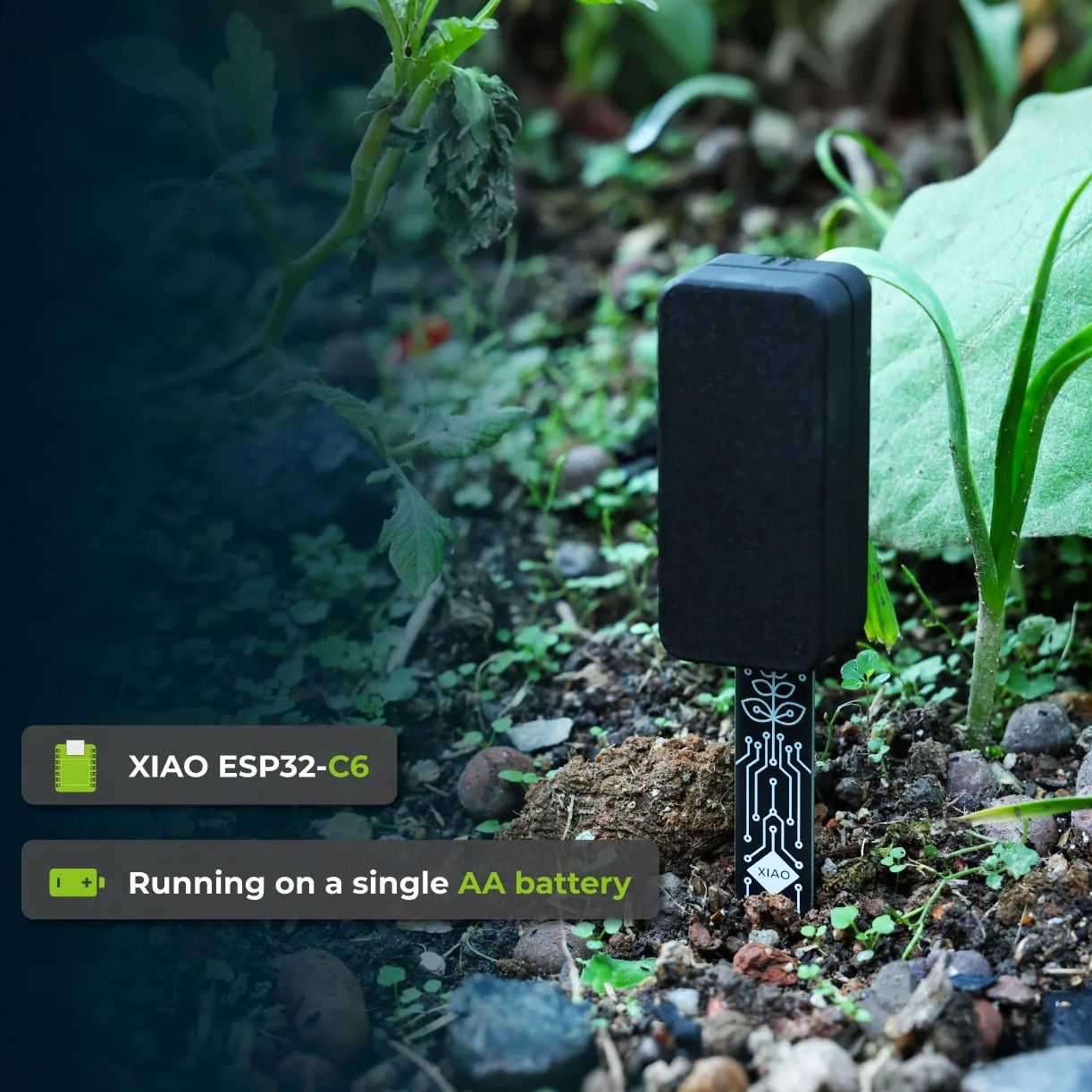 XIAO ESP32 C6 Soil Moisture Se - огляд і ціна Home Automation Tutorial