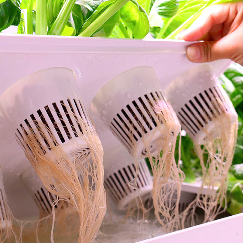 ydroponic Planting System Smar - огляд і ціна Home Automation System Diy