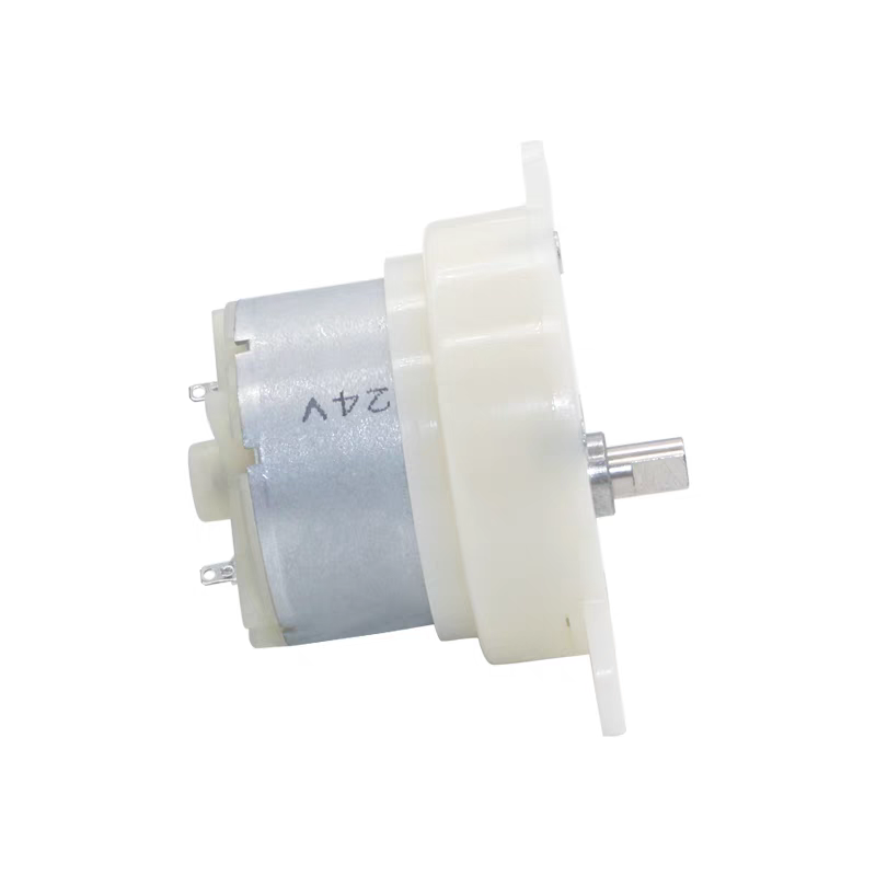 JS40 DC Micro Gear Motor 12-24 - огляд і ціна Home Automation Industry